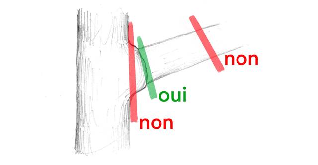 Coupe bien positionnée