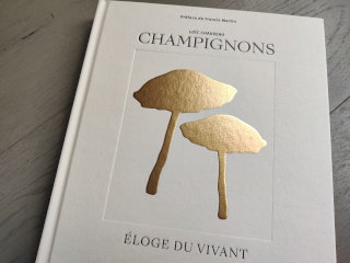 Champignons : éloge du vivant