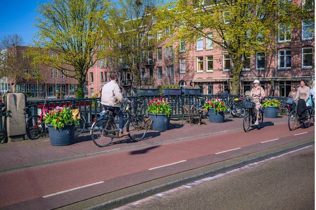 cliquez pour voir la suite Le Festival des tulipes en ville