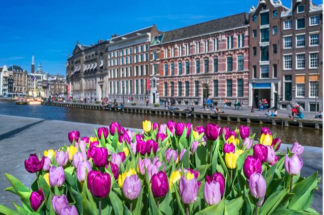 Des tulipes partout dans la ville