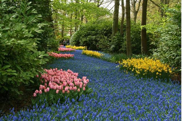 cliquez pour voir la suite Bienvenue à Keukenhof