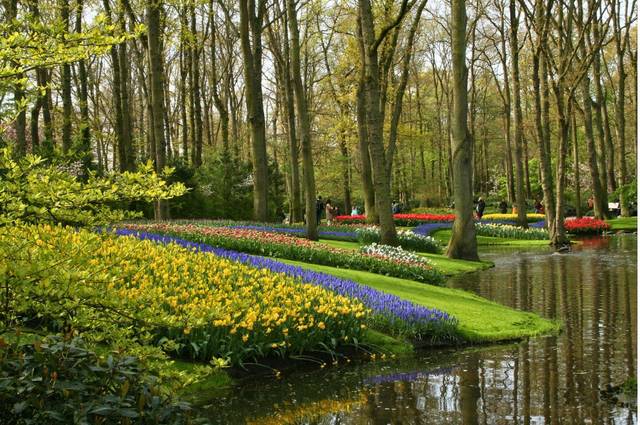 Bien plus qu’un jardin de bulbes