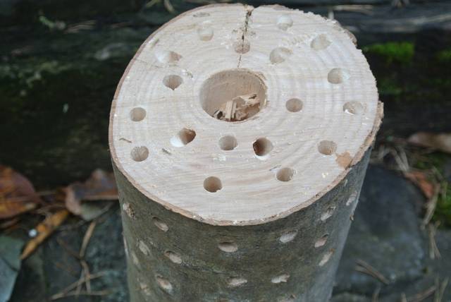 Trous décoratifs