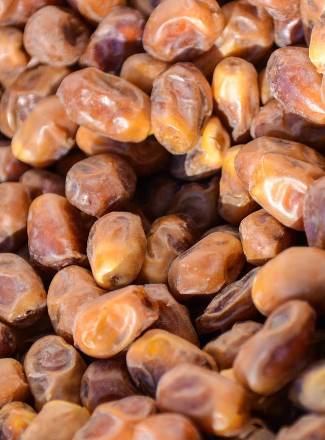 Dattes fraîches