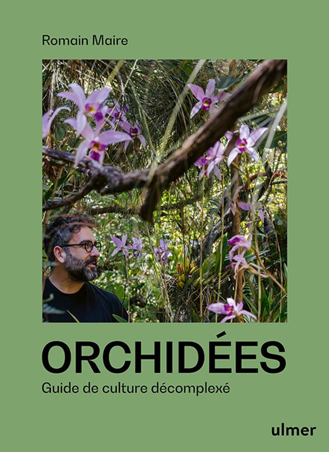 Orchidées : guide de culture décomplexée