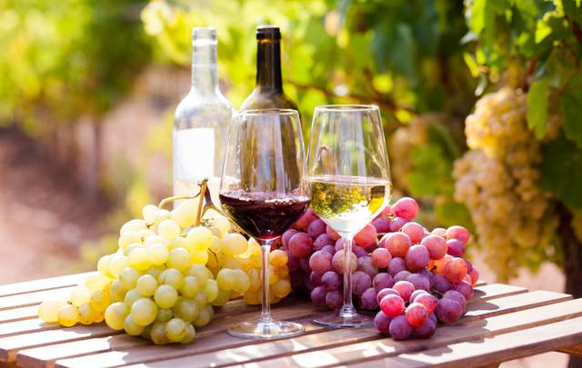 Les cépages français produisent autant de vins différents