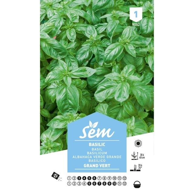 Basilic Grand Vert (sachet)