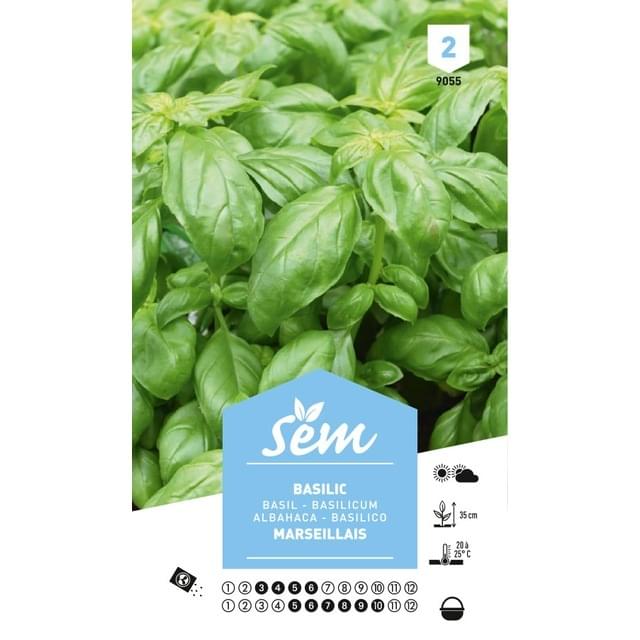 Basilic Marseillais (sachet)