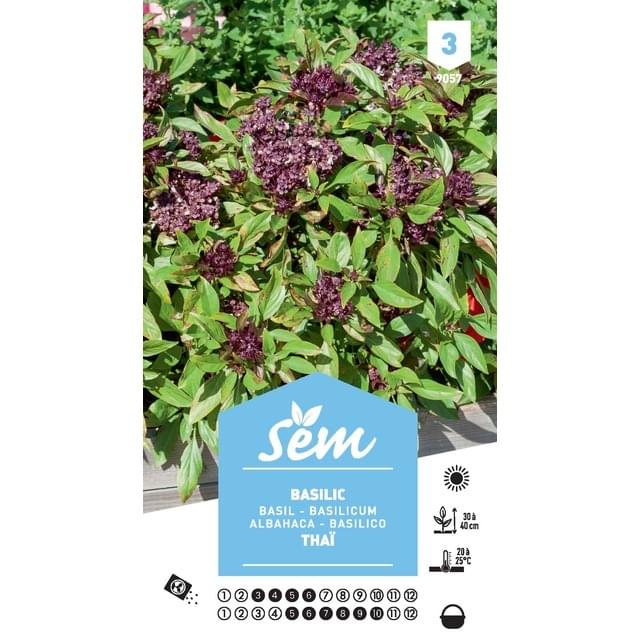 Basilic Thai (sachet)