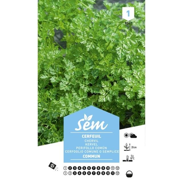 Cerfeuil commun ou simple (sachet)