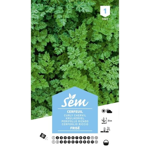 Cerfeuil frisé (sachet)