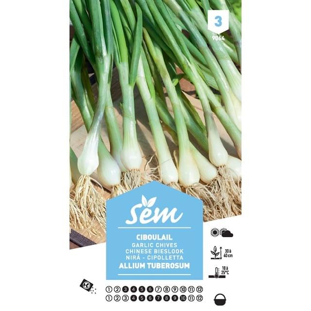 Ciboulail (sachet)