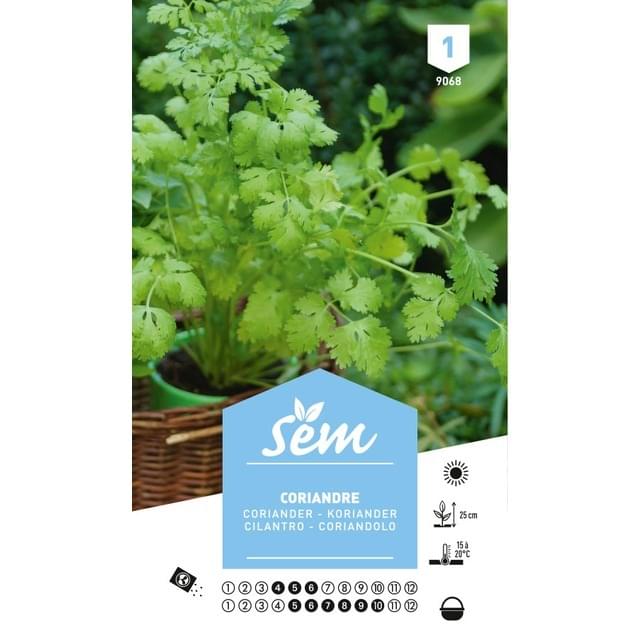 Coriandre (sachet)