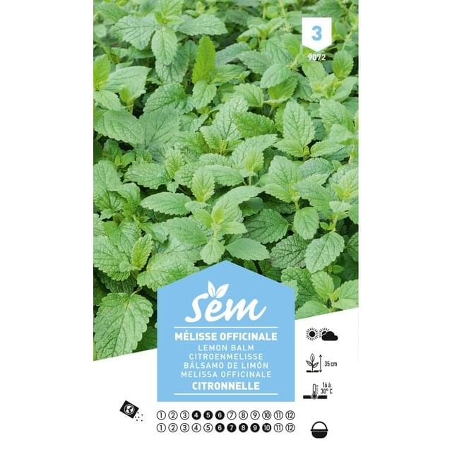 Mélisse officinale (Citronnelle) (sachet)