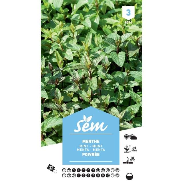 Menthe poivrée (sachet)