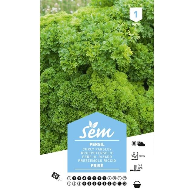 Persil frisé (sachet)