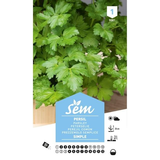 Persil simple (sachet)