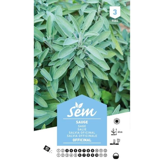 Sauge officinale (sachet)