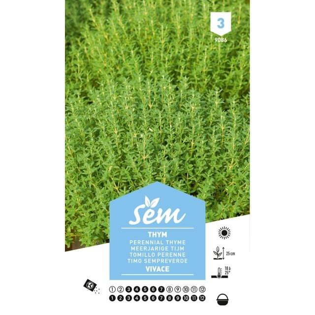 Thym vivace (sachet)