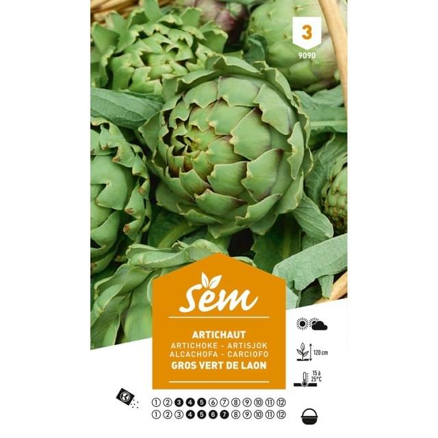 Artichaut gros vert de Laon (sachet)