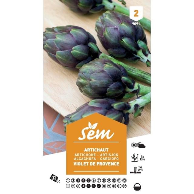 Artichaut 'Violet de Provence' (sachet)
