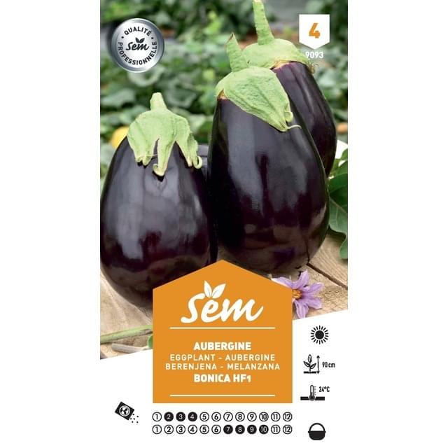 Aubergine bonica hf1 (sachet)