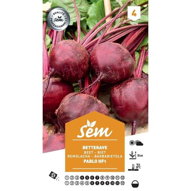 Betterave rouge Pablo F1 (sachet)
