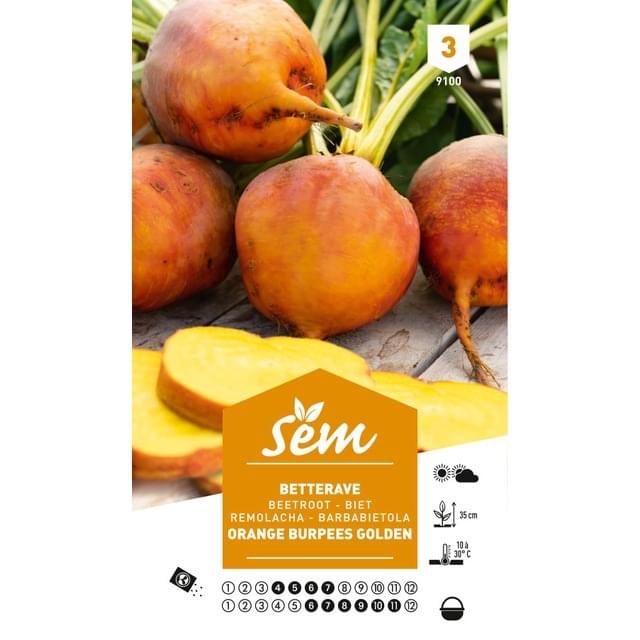 Betterave orange Burpees Golden (sachet)