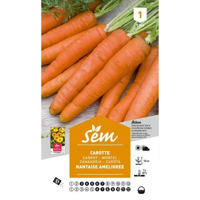 Carotte Nantaise (sachet)