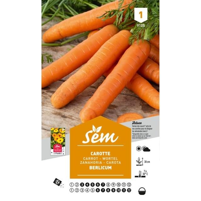 Carotte Berlicum (sachet)