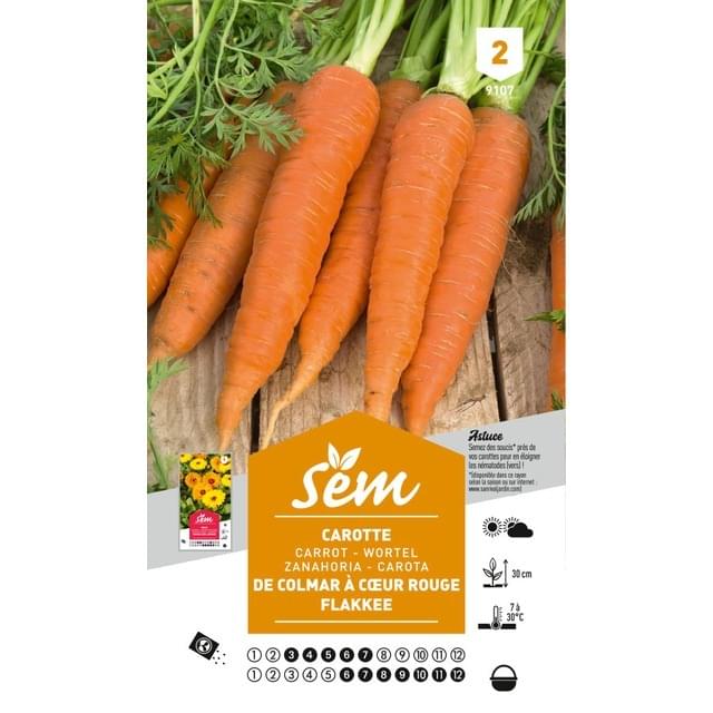 Carotte Flakkee (sachet)
