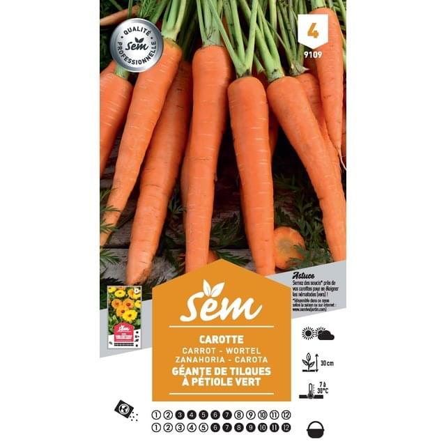 Carotte Géante de Tilques (sachet)