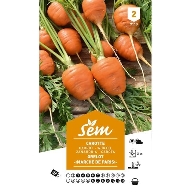 Carotte grelot Marché de Paris (sachet)