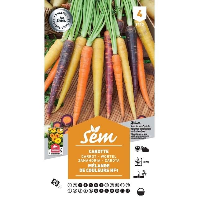 Carotte mélange de couleurs (sachet)