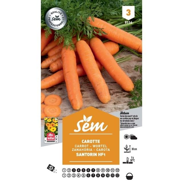 Carotte Santorin F1 (sachet)