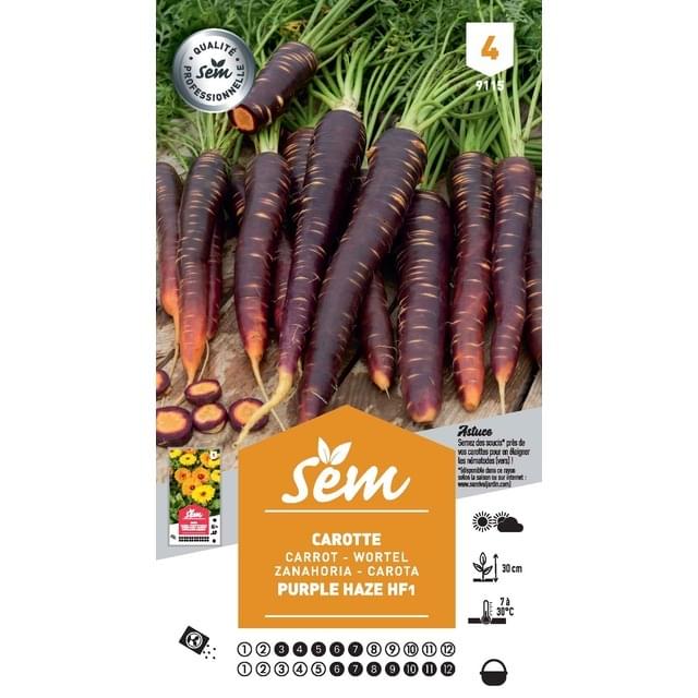 Carotte Purple Haze F1 (sachet)