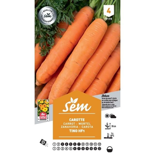 Carotte Tino F1 (sachet)