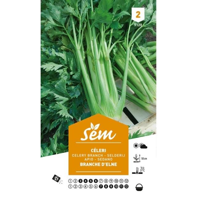 Céleri branche d'Elne (sachet)