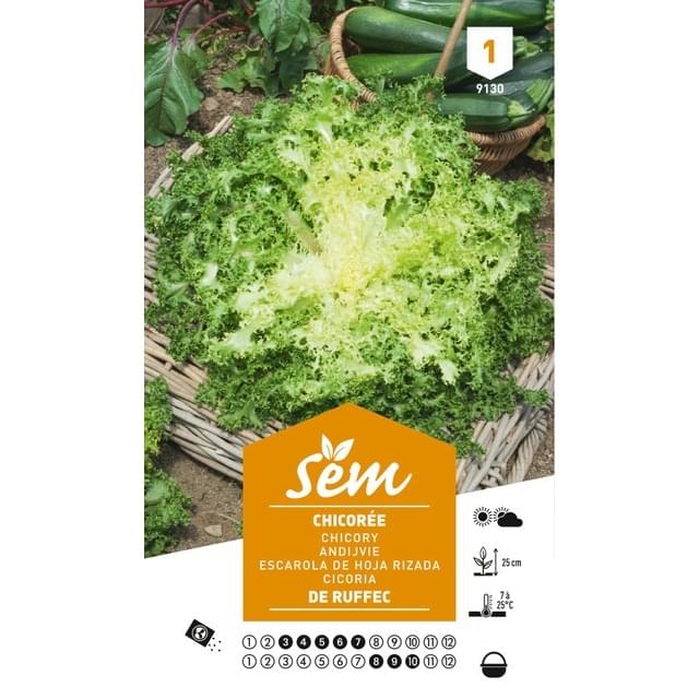 Chicorée frisée de Ruffec (sachet)