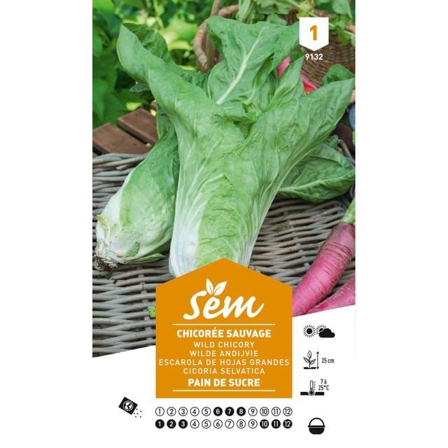 Chicorée sauvage Pain de Sucre (sachet)