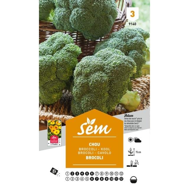 Chou brocoli hâtif (sachet)