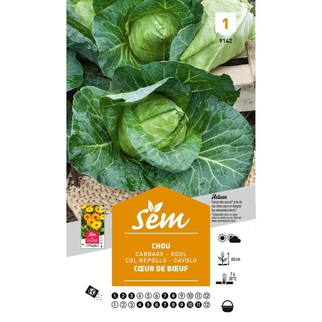 Chou Coeur de Boeuf (sachet)