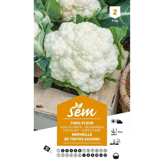 Chou fleur toutes saisons (sachet)