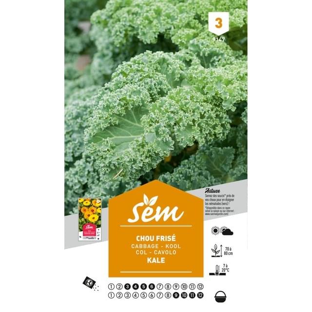 Chou Kale (sachet)