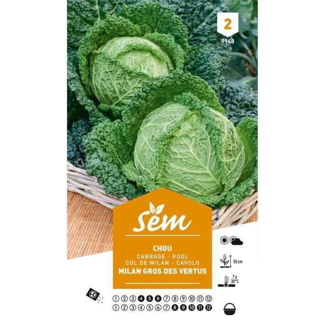 Chou de Milan Gros des Vertus (sachet)