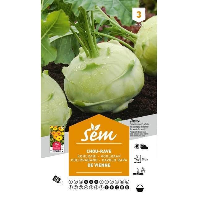 Chou rave de Vienne (sachet)