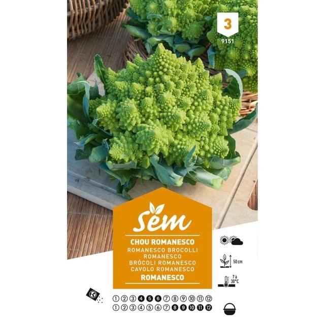 Chou Romanesco (sachet)