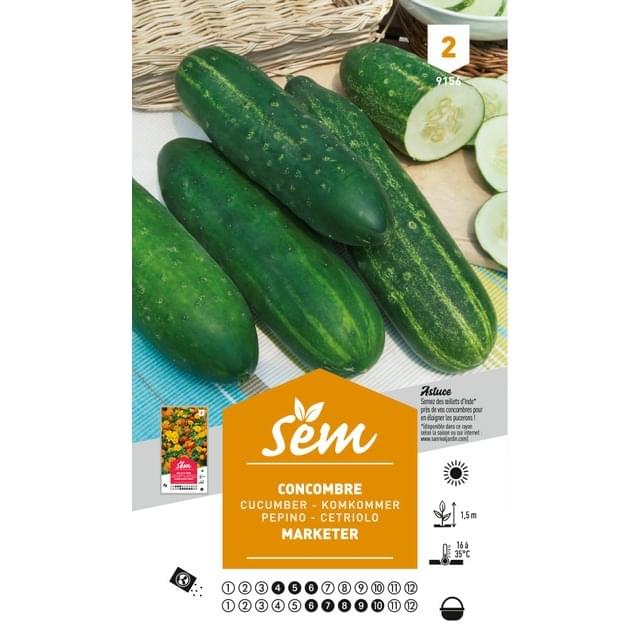 Concombre Marketer (sachet)