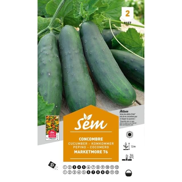 Concombre Marketmore 76 (sachet)