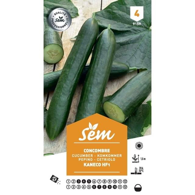 Concombre Kaneco F1 (sachet)